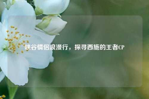 峡谷情侣浪漫行,探寻西施的王者CP