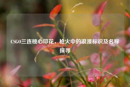 CSGO三连桃心印花,枪火中的浪漫标识及名称探寻