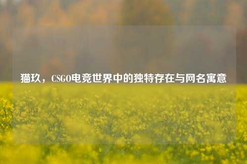猫玖,CSGO电竞世界中的独特存在与网名寓意