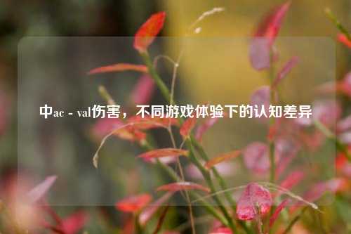 中ac - val伤害,不同游戏体验下的认知差异