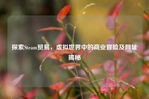 探索Steam贸易,虚拟世界中的商业冒险及网址揭秘