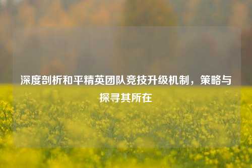 深度剖析和平精英团队竞技升级机制,策略与探寻其所在