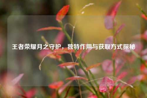 王者荣耀月之守护,独特作用与获取方式探秘