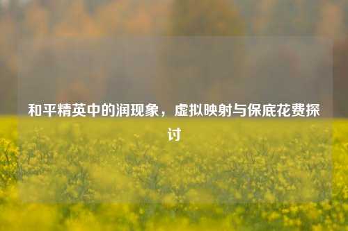 和平精英中的润现象,虚拟映射与保底花费探讨
