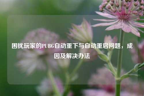 困扰玩家的PUBG自动重下与自动重启问题,成因及解决办法