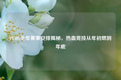 PUBG全年赛事安排揭秘,热血竞技从年初燃到年底