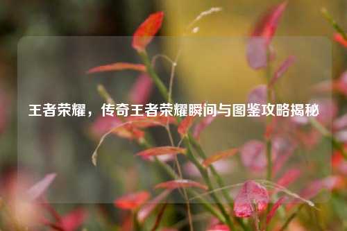 王者荣耀,传奇王者荣耀瞬间与图鉴攻略揭秘