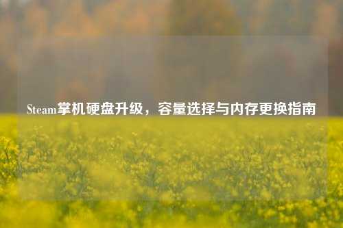 Steam掌机硬盘升级,容量选择与内存更换指南