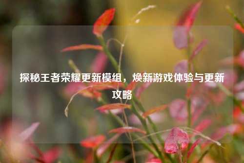 探秘王者荣耀更新模组,焕新游戏体验与更新攻略