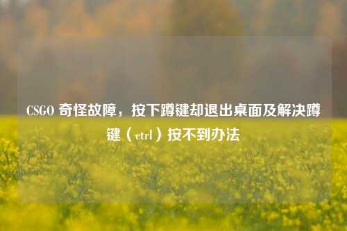 CSGO 奇怪故障,按下蹲键却退出桌面及解决蹲键(ctrl)按不到办法
