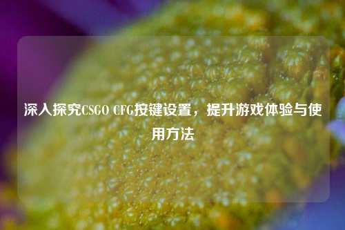 深入探究CSGO CFG按键设置,提升游戏体验与使用 ***