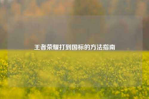 王者荣耀打到国标的 *** 指南