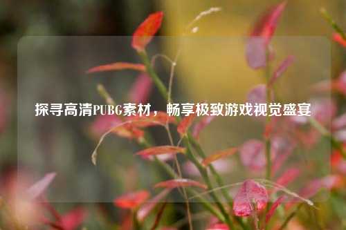 探寻高清PUBG素材,畅享极致游戏视觉盛宴