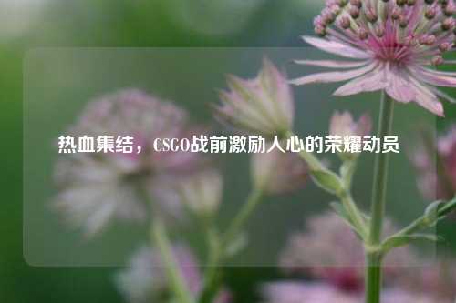 热血集结,CSGO战前激励人心的荣耀动员