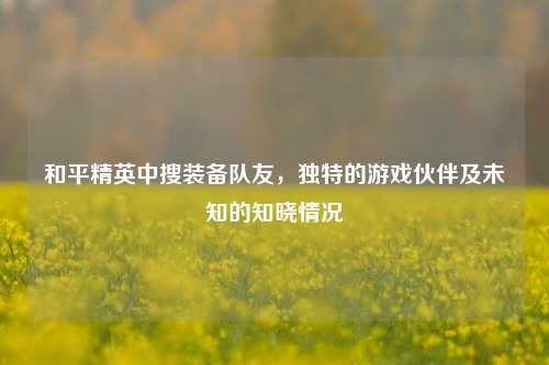 和平精英中搜装备队友,独特的游戏伙伴及未知的知晓情况