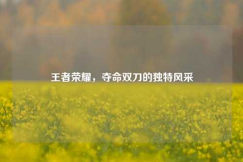 王者荣耀,夺命双刀的独特风采