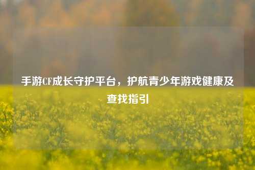 手游CF成长守护平台,护航青少年游戏健康及查找指引