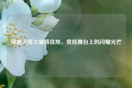 穿越火线之星韩佳旭,竞技舞台上的闪耀光芒