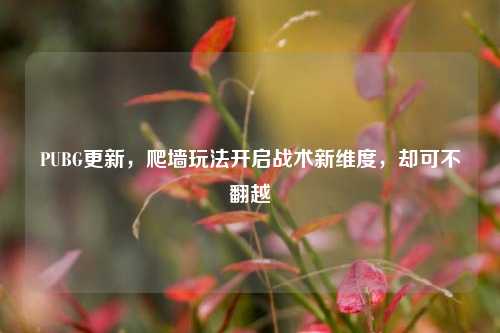 PUBG更新,爬墙玩法开启战术新维度,却可不翻越