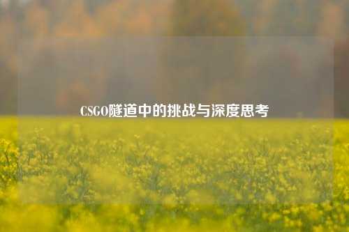 CSGO隧道中的挑战与深度思考