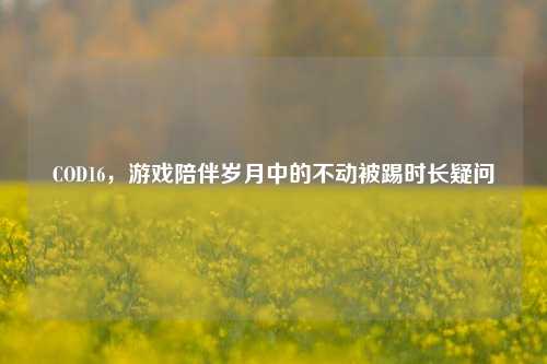 COD16,游戏陪伴岁月中的不动被踢时长疑问