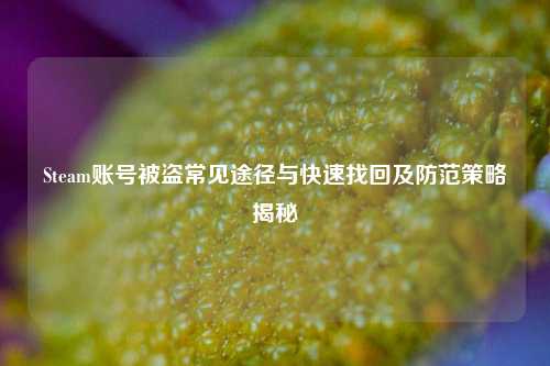 Steam账号被盗常见途径与快速找回及防范策略揭秘