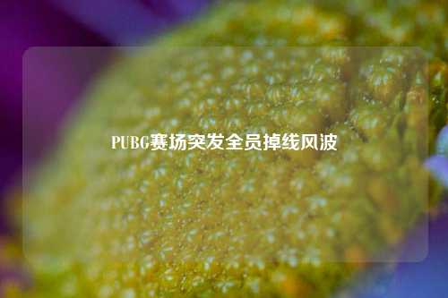 PUBG赛场突发全员掉线风波