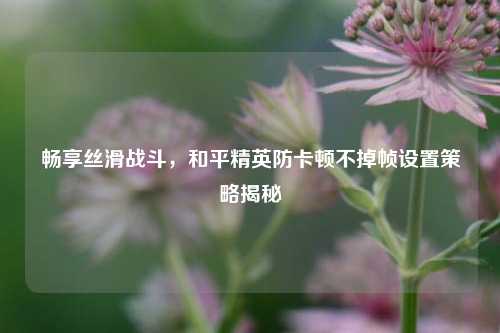 畅享丝滑战斗,和平精英防卡顿不掉帧设置策略揭秘