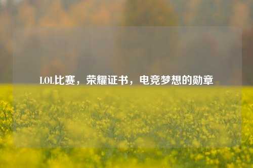 LOL比赛,荣耀证书,电竞梦想的勋章