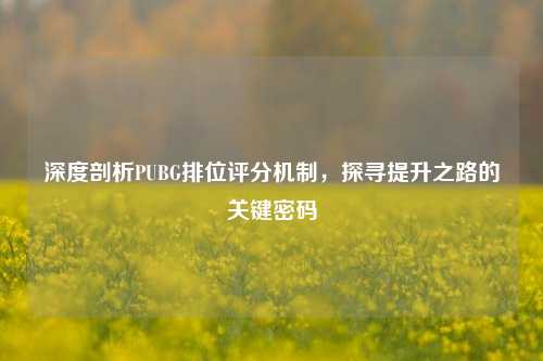 深度剖析PUBG排位评分机制,探寻提升之路的关键密码