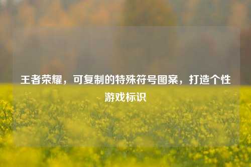 王者荣耀,可***的特殊符号图案,打造个性游戏标识