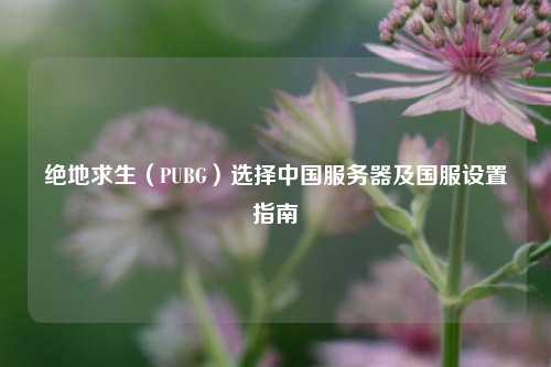 绝地求生(PUBG)选择中国服务器及国服设置指南