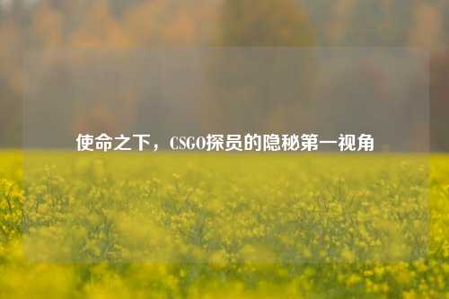 使命之下,CSGO探员的隐秘之一视角