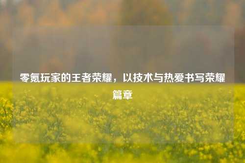 零氪玩家的王者荣耀,以技术与热爱书写荣耀篇章