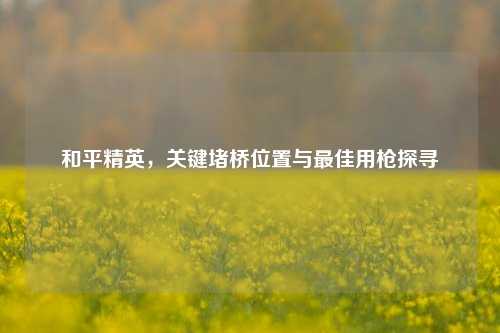 和平精英,关键堵桥位置与更佳用枪探寻