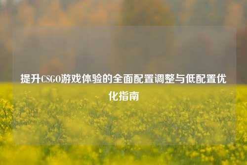 提升CSGO游戏体验的全面配置调整与低配置优化指南