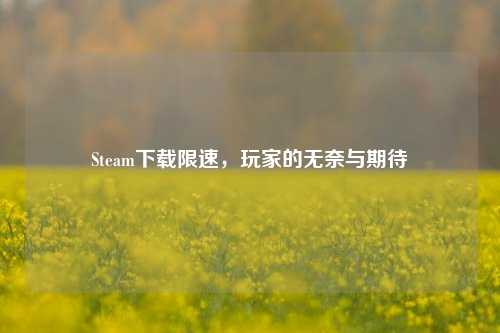 Steam下载限速,玩家的无奈与期待