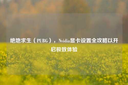绝地求生(PUBG),Nvidia显卡设置全攻略以开启极致体验
