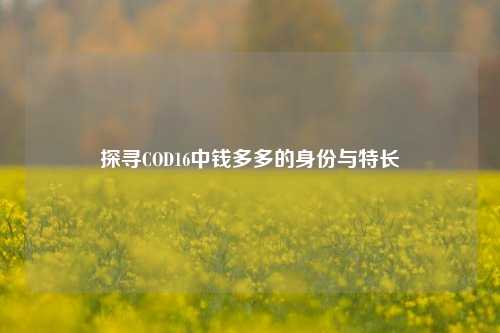 探寻COD16中钱多多的身份与特长