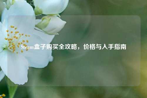 Steam盒子购买全攻略,价格与入手指南