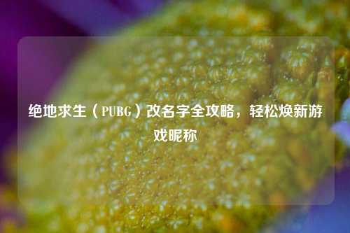 绝地求生(PUBG)改名字全攻略,轻松焕新游戏昵称