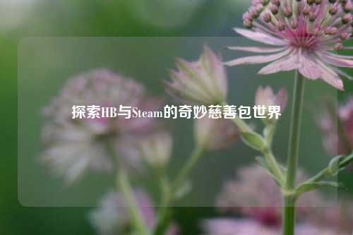 探索HB与Steam的奇妙慈善包世界