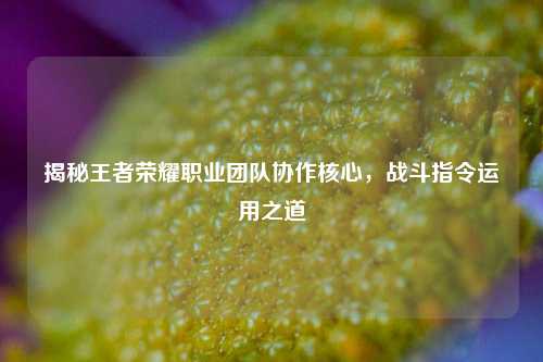 揭秘王者荣耀职业团队协作核心,战斗指令运用之道