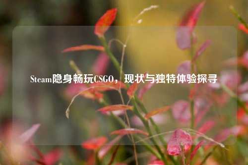 Steam隐身畅玩CSGO,现状与独特体验探寻