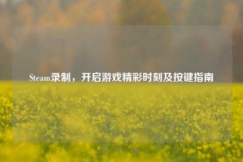 Steam录制,开启游戏精彩时刻及按键指南