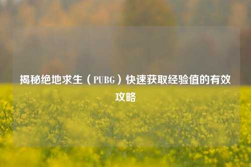 揭秘绝地求生(PUBG)快速获取经验值的有效攻略