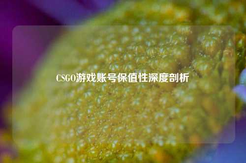 CSGO游戏账号保值性深度剖析