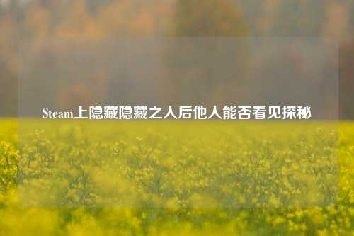 Steam上隐藏隐藏之人后他人能否看见探秘