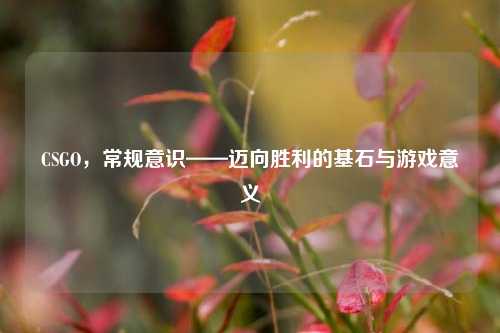 CSGO,常规意识——迈向胜利的基石与游戏意义