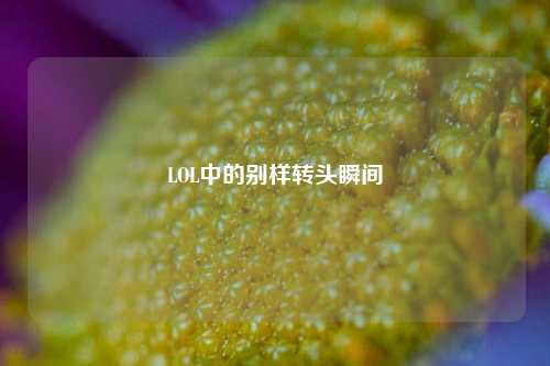 LOL中的别样转头瞬间